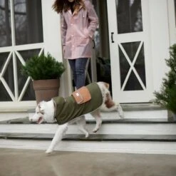 Frisco Lightweight Olive Reversible Packable Dog Raincoat -Pawfect Care 315116 PT8. AC SS1800 V1646435907