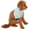 Frisco Birthday Pup Dog & Cat Bandana -Pawfect Care 315130 MAIN. AC SS1800 V1646437330