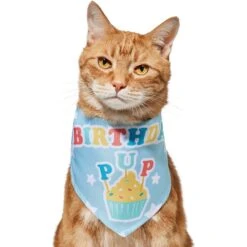 Frisco Birthday Pup Dog & Cat Bandana -Pawfect Care 315130 PT2. AC SS1800 V1646437964