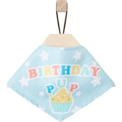 Frisco Birthday Pup Dog & Cat Bandana -Pawfect Care 315130 PT4. AC SS1800 V1646441905