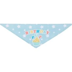 Frisco Birthday Pup Dog & Cat Bandana -Pawfect Care 315130 PT5. AC SS1800 V1646434611