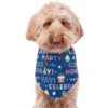 Frisco Celebration Dog & Cat Bandana -Pawfect Care 315133 MAIN. AC SS1800 V1646438946