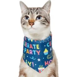 Frisco Celebration Dog & Cat Bandana -Pawfect Care 315133 PT2. AC SS1800 V1646439780