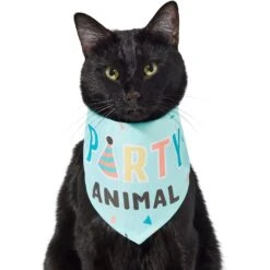 Frisco Party Animal Dog & Cat Bandana -Pawfect Care 315136 PT2. AC SS1800 V1646438016