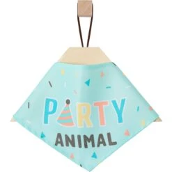 Frisco Party Animal Dog & Cat Bandana -Pawfect Care 315136 PT4. AC SS1800 V1646436117