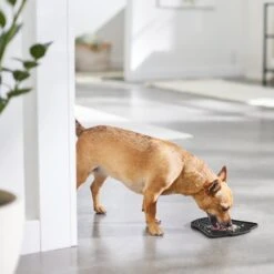 STAR WARS DARTH VADER Silicone Dog & Cat Lick Mat 9 STAR WARS DARTH VADER Silicone Dog & Cat Lick Mat -Pawfect Care 315335 PT2. AC SS1800 V1647281635