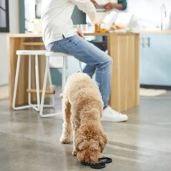 Disney Mickey Mouse Silicone Dog & Cat Lick Mat -Pawfect Care 315337 PT2. AC SS1800 V1647282821