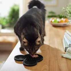 Disney Mickey Mouse Silicone Dog & Cat Lick Mat -Pawfect Care 315337 PT3. AC SS1800 V1647281954