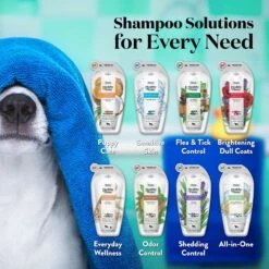 Wahl Clipper Everyday Coat Wellness Oatmeal Dog & Cat Shampoo, 16-oz Bottle -Pawfect Care 315534 PT4. AC SS1800 V1663880177