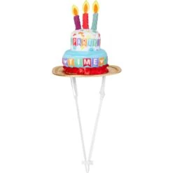 Disney Mickey Mouse Birthday Dog & Cat Hat