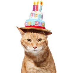 Disney Mickey Mouse Birthday Dog & Cat Hat -Pawfect Care 316077 PT3. AC SS1800 V1646181348