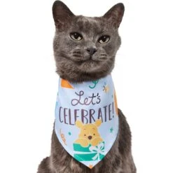 Disney Winnie The Pooh Birthday Dog & Cat Bandana -Pawfect Care 316080 PT2. AC SS1800 V1646177034