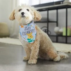 Disney Winnie The Pooh Birthday Dog & Cat Bandana -Pawfect Care 316080 PT8. AC SS1800 V1646180621