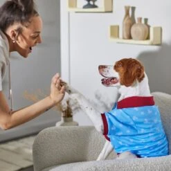 Disney Mickey Mouse Americana Dog & Cat Polo -Pawfect Care 316084 PT8. AC SS1800 V1646176970