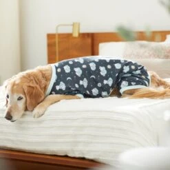 Disney Winnie The Pooh Nite Time Dog & Cat Pajama -Pawfect Care 316098 PT8. AC SS1800 V1646177678