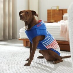 STAR WARS MAY THE 4TH Dog & Cat Hoodie -Pawfect Care 316112 PT8. AC SS1800 V1646176600