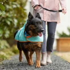 Pixar Finding Nemo Lightweight "Make A Splash" Dog & Cat Packable Raincoat -Pawfect Care 316506 PT8. AC SS1800 V1646180597