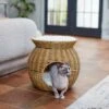 Frisco Round Wicker Cat Condo With Top Perch -Pawfect Care 316646 MAIN. AC SS1800 V1633727580