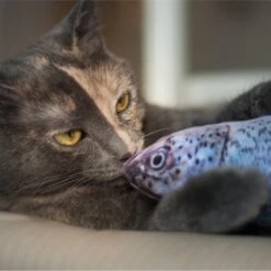 Pet Fit For Life Robotic Floppy Fish & Wand Cat Toy -Pawfect Care 316700 PT7. AC SS1800 V1631761951