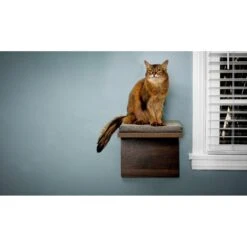 Litterbox.com Cat Shelf, 2 Count -Pawfect Care 316910 PT4. AC SS1800 V1634074663