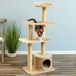 Two By Two The Cottonwood 51-in Cat Tree & Condo, Beige 14 Two By Two The Cottonwood 51-in Cat Tree & Condo, Beige -Pawfect Care 316954 PT4. AC SS1800 V1642644729