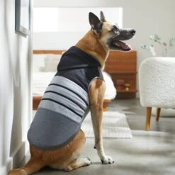 Frisco Gray Striped Dog & Cat Hoodie -Pawfect Care 317305 PT8. AC SS1800 V1646437959