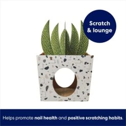 Frisco Potted Succulent Cardboard Cat House -Pawfect Care 317723 PT2. AC SS1800 V1689342085