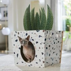 Frisco Potted Succulent Cardboard Cat House -Pawfect Care 317723 PT4. AC SS1800 V1688677260