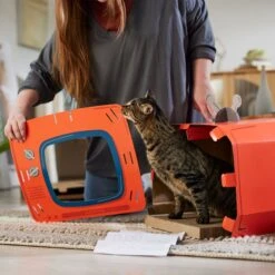 Frisco TV Set Cardboard Cat House -Pawfect Care 317731 PT3. AC SS1800 V1688677262