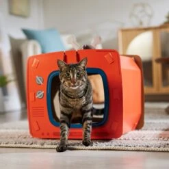 Frisco TV Set Cardboard Cat House -Pawfect Care 317731 PT4. AC SS1800 V1688677247