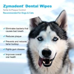 VetWELL Zymadent Dog & Cat Dental Wipes -Pawfect Care 317996 PT2. AC SS1800 V1631689272