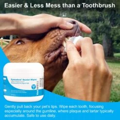 VetWELL Zymadent Dog & Cat Dental Wipes -Pawfect Care 317996 PT3. AC SS1800 V1631679677