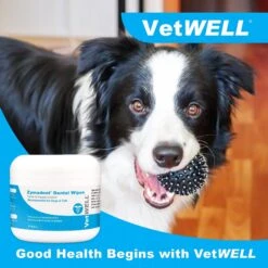 VetWELL Zymadent Dog & Cat Dental Wipes -Pawfect Care 317996 PT4. AC SS1800 V1631689896