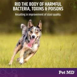 Pet MD Stool-Fix Powdered Clay Anti Diarrhea Treatment For Upset Stomach Relief, Promotes Normal Stool For Dogs & Cats -Pawfect Care 317998 PT4. AC SS1800 V1659887071