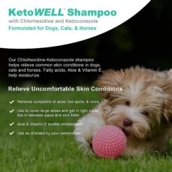 VetWELL Ketoconazole Chlorhexidine Skin Infections, Growths, Abrasions, Acne, & Hot Spots Oatmeal & Aloe Mint Scent Medicated Dog & Cat Shampoo, 12-oz -Pawfect Care 318005 PT2. AC SS1800 V1631683596