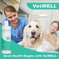 VetWELL Ketoconazole Chlorhexidine Skin Infections, Growths, Abrasions, Acne, & Hot Spots Oatmeal & Aloe Mint Scent Medicated Dog & Cat Shampoo, 12-oz -Pawfect Care 318005 PT3. AC SS1800 V1631688122