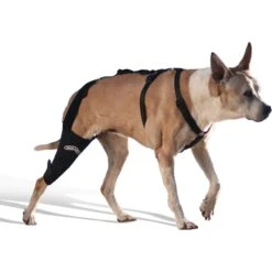 WALKABOUT Dog & Cat Knee Brace