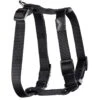 WALKABOUT Chest Halter Adjustable Dog & Cat Harness, Black -Pawfect Care 325533 MAIN. AC SS1800 V1646690258