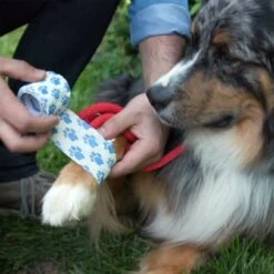 Pet Evac Pak First Dog & Cat First Aid Kit -Pawfect Care 327460 PT7. AC SS1800 V1680029498