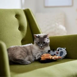 Disney Princess Pocahontas Plush Cat Toy With Catnip, 2 Count -Pawfect Care 328729 PT3. AC SS1800 V1657718551