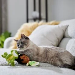 Disney Princess Tiana Plush Cat Toy With Catnip, 2 Count -Pawfect Care 328737 PT3. AC SS1800 V1657661947