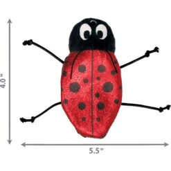 KONG Refillables Ladybug Cat Toy, Red/Black -Pawfect Care 329458 PT1. AC SS1800 V1634836021