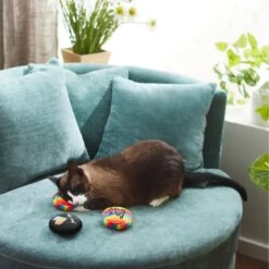 Frisco Pride Buttons Plush Cat Toy With Catnip, 3 Count -Pawfect Care 331688 PT3. AC SS1800 V1647355746