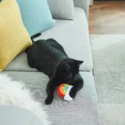 Frisco Pride Rainbow Plush Cat Toy With Silvervine -Pawfect Care 331690 PT3. AC SS1800 V1647355685