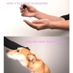 Calm Paws Purr Calming Essential Oil For Cats, 1-oz Bottle -Pawfect Care 333174 PT6. AC SS1800 V1632820001