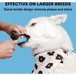 Jasper Finger Dog & Cat Toothbrush -Pawfect Care 333238 PT4. AC SS1800 V1632976881