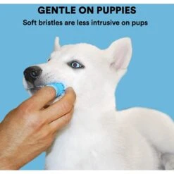 Jasper Finger Dog & Cat Toothbrush -Pawfect Care 333238 PT5. AC SS1800 V1632973280
