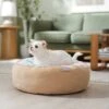 Frisco Cat Donut Bed 1 Frisco Cat Donut Bed -Pawfect Care 333854 MAIN. AC SS1800 V1658716873