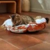 Frisco Calico Cat Design Adjustable Cat Bolster Bed -Pawfect Care 333860 MAIN. AC SS1800 V1658718002