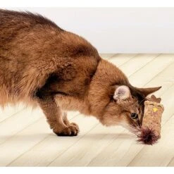 Litterbox.com Cork Chicken Cat Toy -Pawfect Care 334220 PT2. AC SS1800 V1648614384